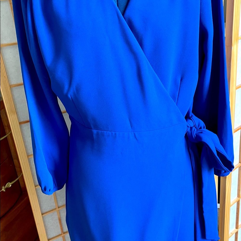 J Crew dress